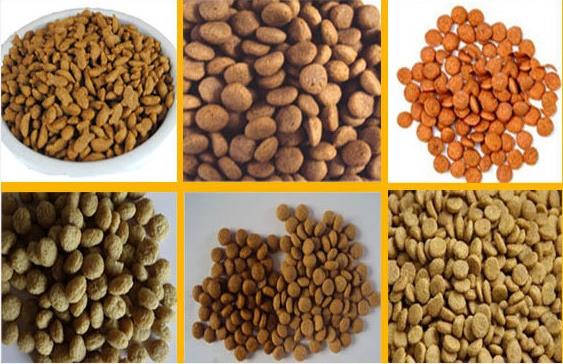 Dog Food Making Machine