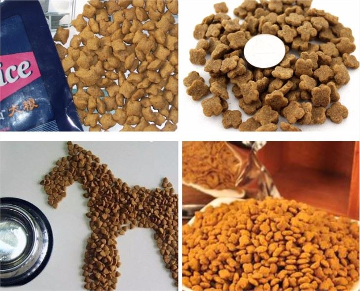 Dog Food Making Machine